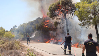 Συναγερμός στην Πυροσβεστική: Φωτιά σε δασική έκταση στην Καλλιτεχνούπολη - Μήνυμα του 112