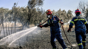 Φωτιά στην Οινόη: Ήχησε το 112 - Διακόπηκε η κυκλοφορία στην ΠΕΟ Αθηνών-Θηβών - Ενισχύθηκαν τα εναέρια