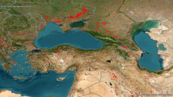 Τουρκία: Εκκένωση για πάνω 3.600 πυρόπληκτους - Μαίνονται οι πυρκαγιές