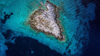 WWF Ελλάς: «Θετικό βήμα τα θαλάσσια πάρκα - Απαραίτητη η συνέχεια και η δράση»