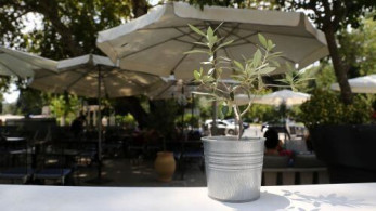 Αστέρια Michelin στην Ελλάδα: Οι μεγάλες ανατροπές - Ποιοι έχασαν αστέρια