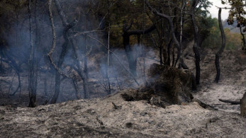 Φωτιές: χωρίς ενεργό μέτωπο τα Συχαινά - Υπό μερικό έλεγχο στο Στρατώνι - Μάχη για ηλεκτροδότηση στη Χίο