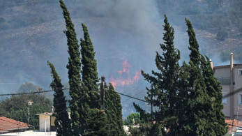 Φωτιά στην Πρέβεζα: σε κατάσταση έκτακτης ανάγκης ο δήμος Ζηρού