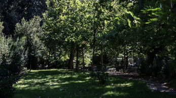 Κλειστό το Άλσος Χωροφυλακής μέχρι νεωτέρας με εισαγγελική παραγγελία