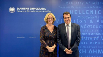 Συνάντηση Πλεύρη με την πρέσβη της Αυστρίας, Γκέρντα Βογκλ