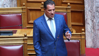 Γεωργιάδης για Μητσοτάκη-Ερντογάν: Είτε γίνει η συνάντηση, είτε δεν γίνει, η αντιπολίτευση θα μας κατηγορήσει