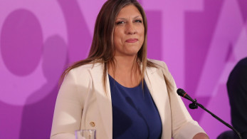 Κωνσταντοπούλου: Για όλα φταίει η κυβέρνηση - ακόμα και για τα κοπάδια
