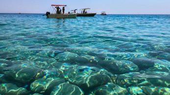 Οι κοραλλιογενείς ύφαλοι πλέον σχεδόν βέβαιο πως ξεπέρασαν το σημείο καμπής «χωρίς επιστροφή»