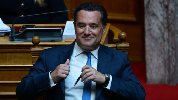Γεωργιάδης: Η Βουλή αποφάσισε την άρση ασυλίας της Κωνσταντοπούλου - Τα υπόλοιπα στα δικαστήρια