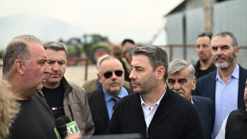 Οι νέες (πολιτικές) γκάφες του Ανδρουλάκη: σηκώνουν τα χέρια ψηλά στη Χαριλάου Τρικούπη
