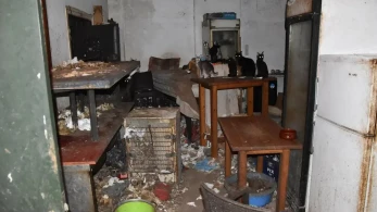 Δονούσα: πρόστιμο 1,7 εκατ. ευρώ σε 63χρονο για κακοποίηση 58 γατών - Ζούσαν σε άθλιες συνθήκες (photos)