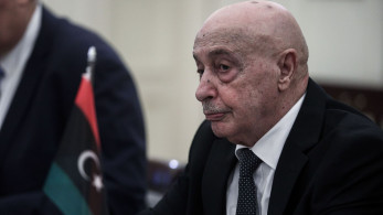 Η έλευση Σάλεχ στην Αθήνα και οι αιχμές σε ΗΠΑ