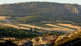 Έπεσαν… καμπάνες για μαϊμού επιδοτήσεις από τον ΟΠΕΚΕΠΕ 32 δήθεν αγροτών