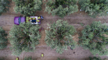 Συμφωνία ΕΕ - Mercosur: τι σημαίνει για τη χώρα και τους Έλληνες καταναλωτές