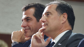 Κριτική Γεωργιάδη - Πλεύρη σε Διεθνή Αμνηστία και Δικαστήριο της Χάγης για το μεταναστευτικό