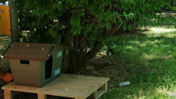 Δήμος Αθηναίων: Σπιτάκια για γάτες σε γειτονιές της πόλης (ΦΩΤΟ)