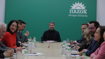 Άρχισαν τα όργανα στο ΠΑΣΟΚ: σύγκρουση Ανδρουλάκη, Δούκα, Γερουλάνου με ολίγη από Διαμαντοπούλου