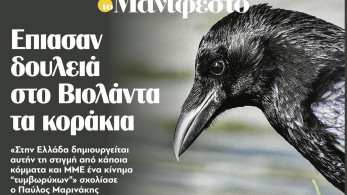 Διαβάστε στην εφημερίδα «το Μανιφέστο»: Επιασαν δουλειά στο Βιολάντα τα κοράκια