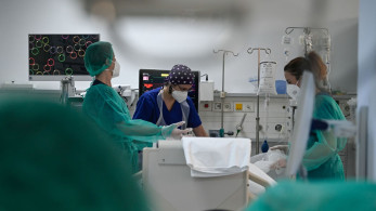 ΠΟΥ - Ιός Νίπα: πώς μεταδίδεται και ποια είναι τα πρώτα συμπτώματα