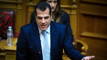 Θάνος Πλεύρης - Χάριετ Μπέργκμαν: στο επίκεντρο μεταναστευτικό και επιστροφές