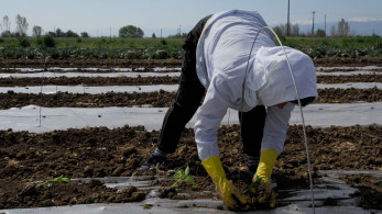 Υπεγράφη η Κοινή Απόφαση για την παροχή Γεωργικών Συμβουλών - Τι προβλέπεται