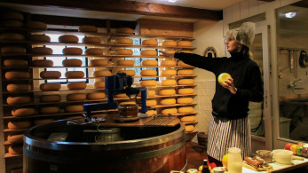 Σε ΦΕΚ η στήριξη αγροτών και επιχειρήσεων Λέσβου λόγω αφθώδους πυρετού
