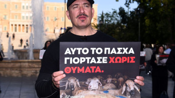 Διαμαρτυρία vegan στο Σύνταγμα κατά της θανάτωσης αμνοεριφίων για το Πάσχα