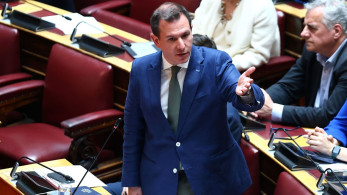 Ηλίας Κανέλλης: «Πράσινος ΣΥΡΙΖΑ» με… άρωμα Κωνσταντοπούλου (video)