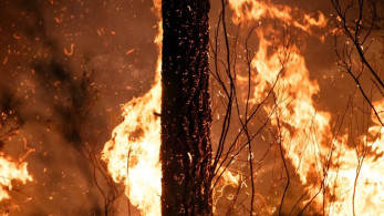 Η φωτιά στη Γαλλία έκαψε έκταση τετραπλάσια από αυτή του Παρισιού