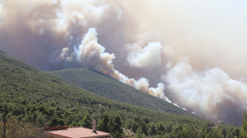 ΠΟΓΕΔΥ: «Τα παπαγαλάκια έπιασαν και πάλι δουλειά»