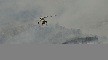 Meteo: Πάνω από 480.000 στρέμματα έγιναν στάχτη στη Δυτική Αττική από το 2018 - Σοκ από τα νέα στοιχεία