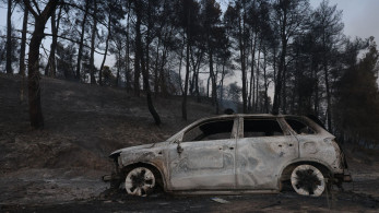 Χαλκιδική: Παρατείνεται η απαγόρευση κυκλοφορίας σε δασικές περιοχές