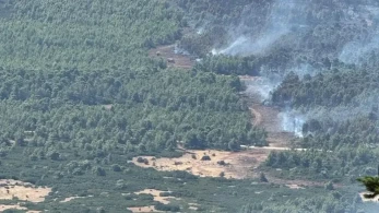 Φωτιά στη Δυτική Αττική: Το antinero έσωσε ζωτικά κομμάτια του δάσους (εικόνες)