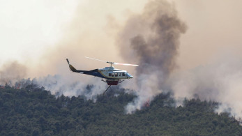 Φλώρινα: φωτιά στο όρος Ντέβας στις Πρέσπες