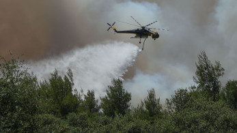 Καρδίτσα: φωτιά στον Παλαμά