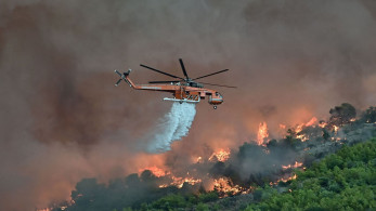 Χωρίς ενεργό μέτωπο οι φωτιές στον Βόλο (video)